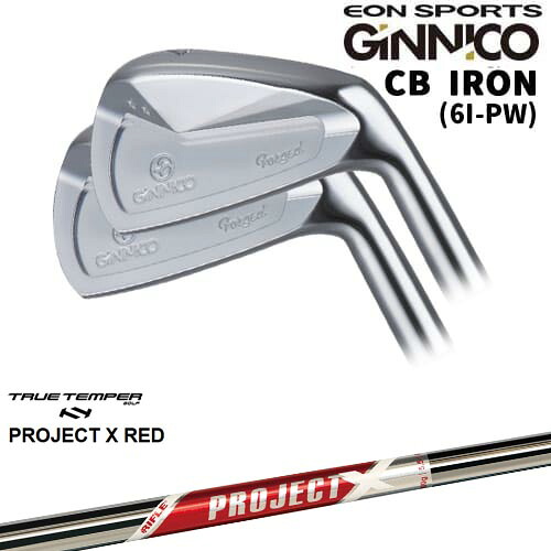 GINNICO ジニコ CB IRON アイアン5本set(6I-PW)[6P]イオンスポーツEON_SPORTS PROJECT X RED プロジェクトエックスレッド TRUE TEMPER