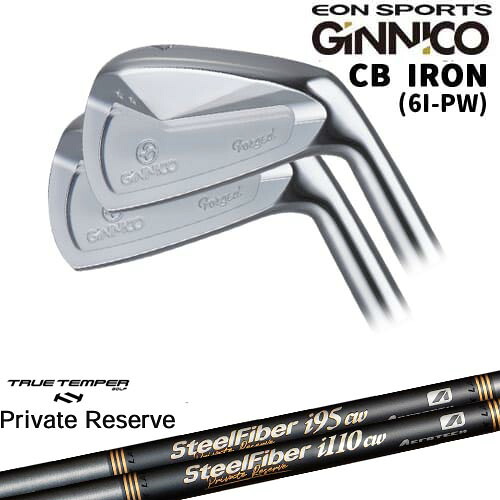 【OVDカスタム】GINNICO ジニコ CB IRON アイアン5本set(6I-PW)[6P]イオンスポーツEON_SPORTS SteelFiberｉシリーズ SteelFiber Private Reserve トゥルーテンパー｜カスタムクラブ工房 OVDGOLF 107,250円