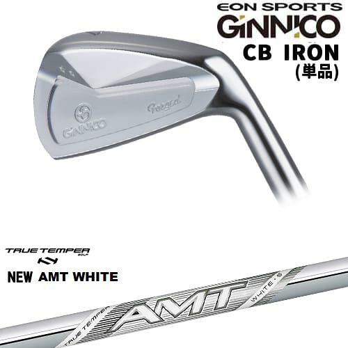 GINNICO ジニコ CB IRON アイアン単品(4I/5I)[6P]イオンスポーツEON_SPORTS New AMT WHITE ホワイトTRUE TEMPER