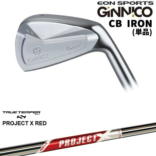【OVDカスタム】GINNICO ジニコ CB IRON アイアン単品(4I/5I)[6P]イオンスポーツEON_SPORTS PROJECT X RED プロジェクトエックスレッド TRUE TEMPER