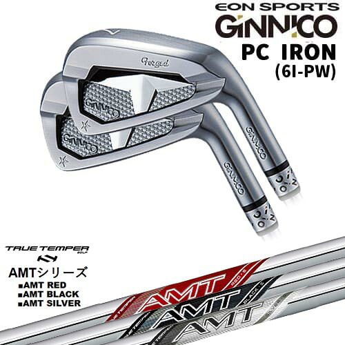 GINNICO ジニコ PC IRON アイアン5本set(6I-PW)[6P]イオンスポーツEON_SPORTS AMT RED/BLACK/SILVER レッド/ブラック/シルバー TRUE TEMPERトゥルーテンパー｜カスタムクラブ工房 OVDGOLF