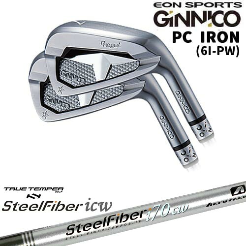 【OVDカスタム】GINNICO ジニコ PC IRON アイアン5本set(6I-PW)[6P]イオンスポーツEON_SPORTS スチールファイバーi(テーパー) SteelFiberTRUE TEMPER