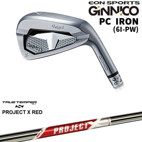 【OVDカスタム】GINNICO ジニコ PC IRON アイアン単品(5I/AW)[IR]イオンスポーツEON_SPORTS PROJECT X RED プロジェクトエックスレッド TRUE TEMPER 26,950円