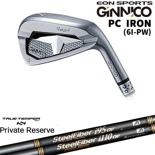 【OVDカスタム】GINNICO ジニコ PC IRON アイアン単品(5I/AW)[IR]イオンスポーツEON_SPORTS SteelFiberｉシリーズ SteelFiber Private Reserve トゥルーテンパー