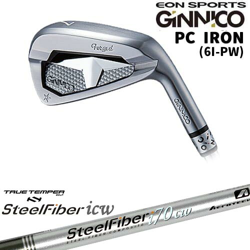 【OVDカスタム】GINNICO ジニコ PC IRON アイアン単品(5I/AW)[IR]イオンスポーツEON_SPORTS スチールファイバーi(テーパー) SteelFiberTRUE TEMPER