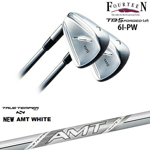 【工房カスタム】 TB-5 FORGED LEFT（左用）アイアン5本set[6P]フォーティーンFOURTEEN New AMT WHITE ホワイトTRUE TEMPER