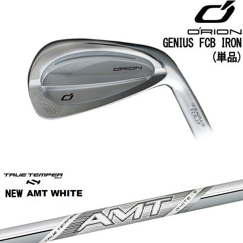 GENIUS FCB IRON アイアン単品(5I)[IR]オライオンORION New AMT WHITE ホワイトTRUE TEMPER