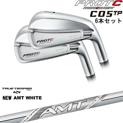 C05TP FORGED IRON アイアン6本set(5I-PW/6I-GW)[5P]プロトコンセプトPROTOCONCEP New AMT WHITE ホワイトTRUE TEMPER