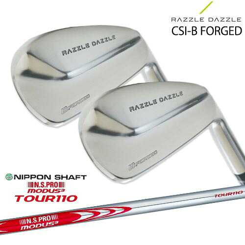 RAZZLE DAZZLE CSI-B FORGED ラズルダズル アイアン 6本セット(5I～PW) SRIXON N.S.PRO MODUS3 TOUR110 モーダス3ツアー110 日本シャフト