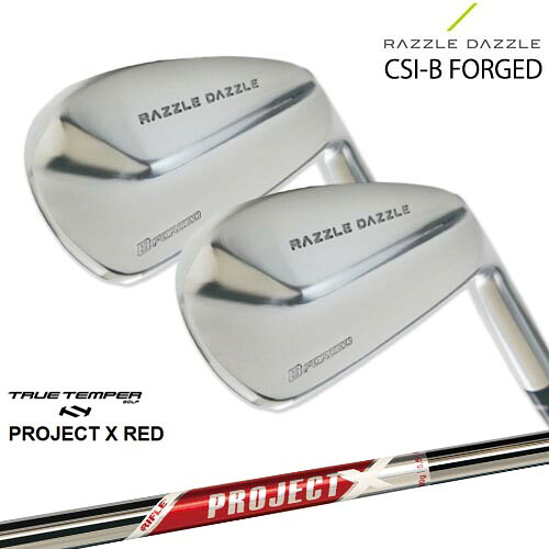 RAZZLE DAZZLE CSI-B FORGED ラズルダズル アイアン 6本セット(5I～PW) SRIXON PROJECT X RED プロジェクトエックスレッド TRUE TEMPER 244,200円