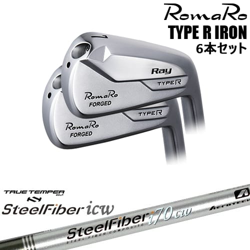 【OVDカスタム】RomaRo Ray TYPE R IRON アイアン6本set(5I-PW/6I-AW)[5P]ロマロROMARO スチールファイバーi(テーパー) SteelFiberTRUE TEMPER