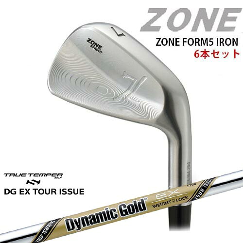 ZONE FORM5 IRONS #5～PW(6本セット)[5P]ゾーン DynamicGoldEX TOUR ISSUE ツアーイシューTRUE TEMPER