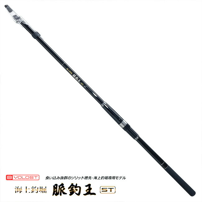 送料込み！値下げしました！ リベリオン　662MHRB バスロッド ダイワ(DAIWA) バスロッド リベリオン 662MHRB 釣り竿