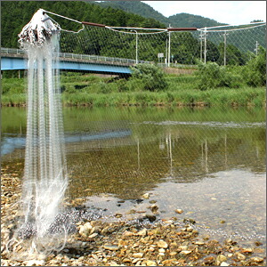 北山製網 銀立網 袋付き添い人クサリ岩 27m×60糎 半目12粍 [1274]