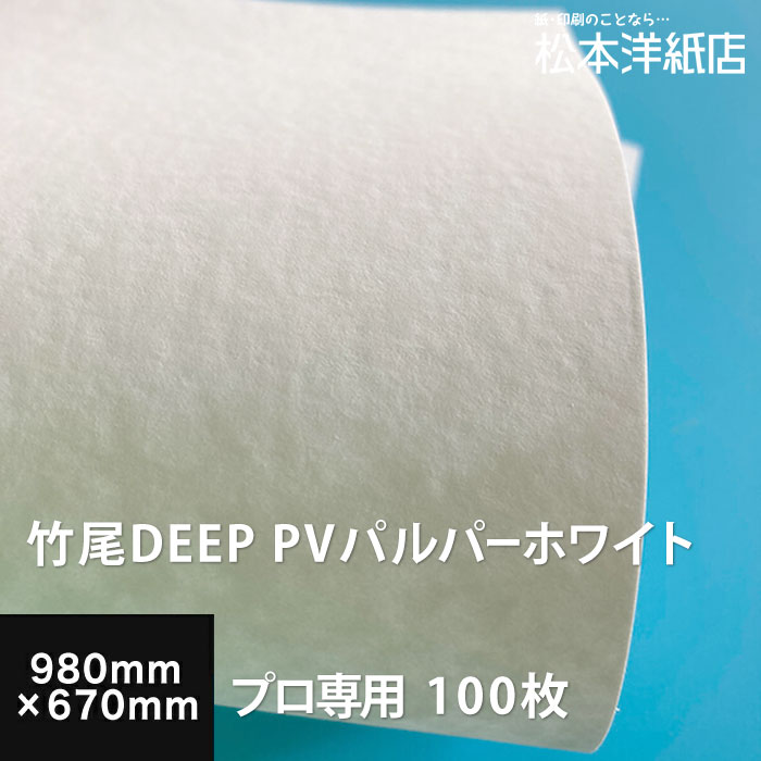 83%以上節約 竹尾 DEEP PV かきた A4サイズ 竹尾 iフォトS モロー粗目 185g B5サイズ:900枚, コットン入り高級水彩紙 粗目 印刷紙 印刷用紙 水性染料 顔料専用 インクジェット用 松本洋紙店 法人 仕入れ 見積もり 掛売 納品書 請求書 後払い 請求書払い