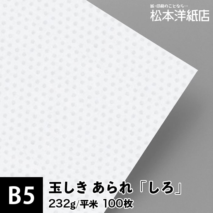 玉しき あられ「しろ」232g/平米 0.34mm B5 100枚, 和風 紙 和柄 印刷用紙 印刷紙 和紙 色紙 いろがみ おしゃれ ファインペーパー メッセージ カード はがき 名刺 案内状 招待状 封筒 画用紙
