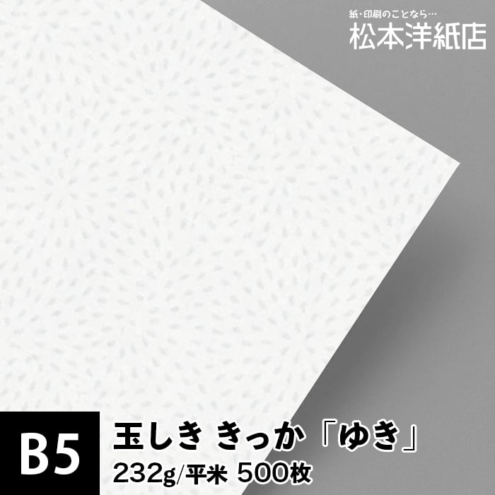 玉しき きっか「ゆき」232g/平米 0.34mm B5 500枚, 和風 紙 和柄 印刷用紙 印刷紙 和紙 色紙 いろがみ おしゃれ ファインペーパー メッセージ カード はがき 名刺 案内状 招待状 封筒 画用紙 27,225円