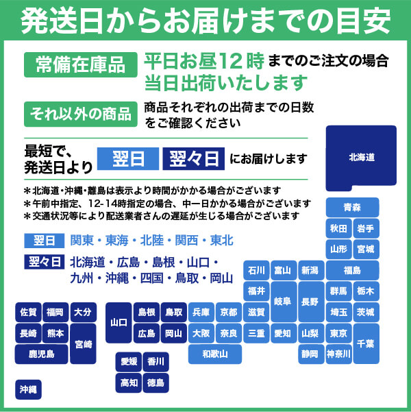 エーワン 紙の専門店 松本洋紙店 透明フィルムラベル ノーカット