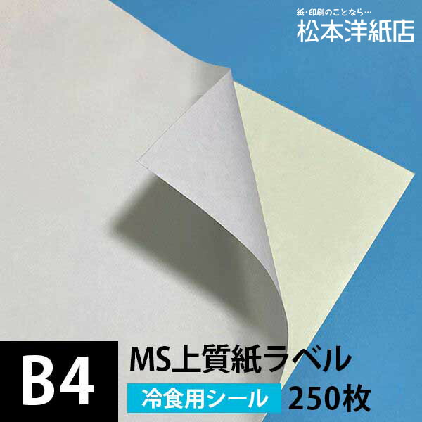 Ms上質紙ラベル 冷食用 B4サイズ 250枚 低温 冷凍 ラベル印刷 シール印刷 シール用紙 ラベルシール 印刷紙 印刷用紙 ラベル用紙 レーザープリンター シール 名前シール 商品ラベル 宛名ラベル 非塗工紙 松本洋紙店 Prescriptionpillsonline Is