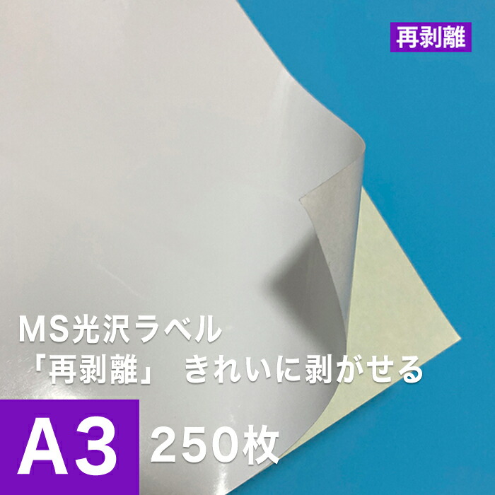 MS光沢ラベル「再剥離」 A3サイズ
