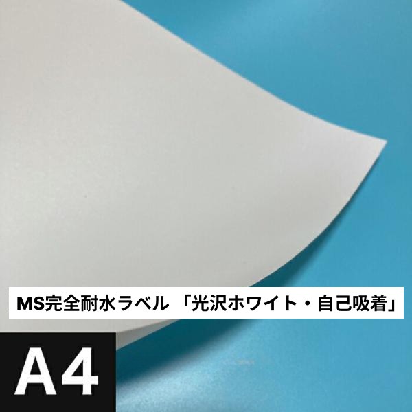 活動写真質問用紙の類概念と選び方。あなたの疑い深いことに答えます