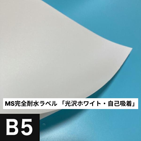 活動写真質問用紙の類概念と選び方。あなたの疑い深いことに答えます