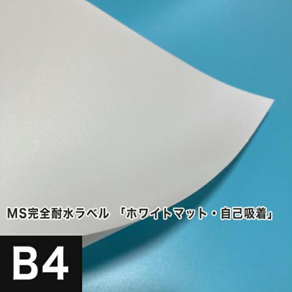 活動写真質問用紙の類概念と選び方。あなたの疑い深いことに答えます