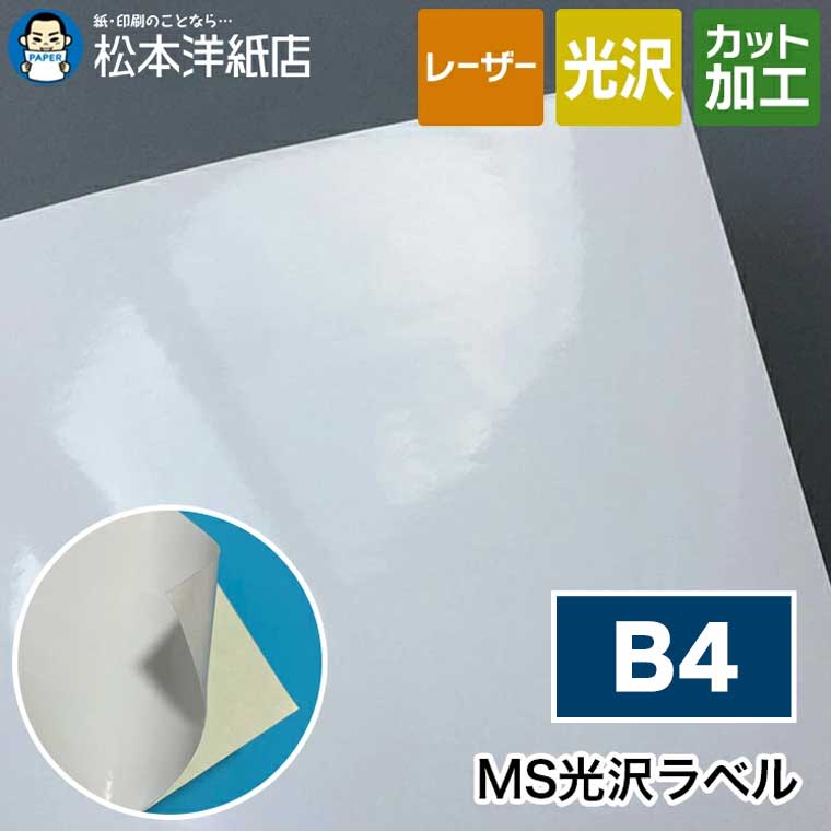 MS光沢ラベル B4