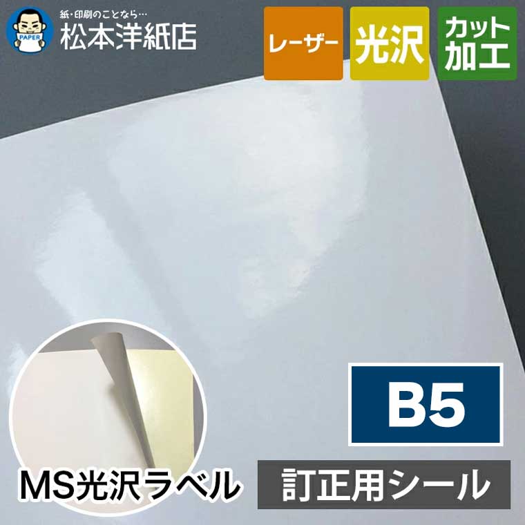 MS光沢ラベル「訂正用」B5 4,582円