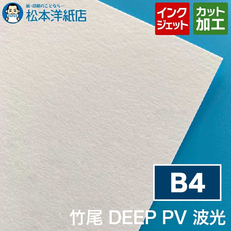 竹尾 DEEP PV 波光 B4, インクジェット 厚紙 厚手 カラー 写真 カタログ イラスト 絵画 複製画 プロ品質