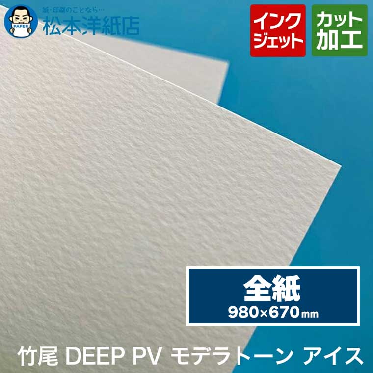 竹尾 DEEP PV モデラトーン アイス 全紙 980×670mm, インクジェット 厚紙 厚手 カラー 写真 カタログ イラスト 絵画 複製画 プロ品質