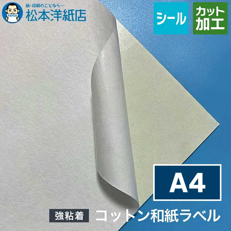 活動写真質問用紙の類概念と選び方。あなたの疑わしいことに答えます