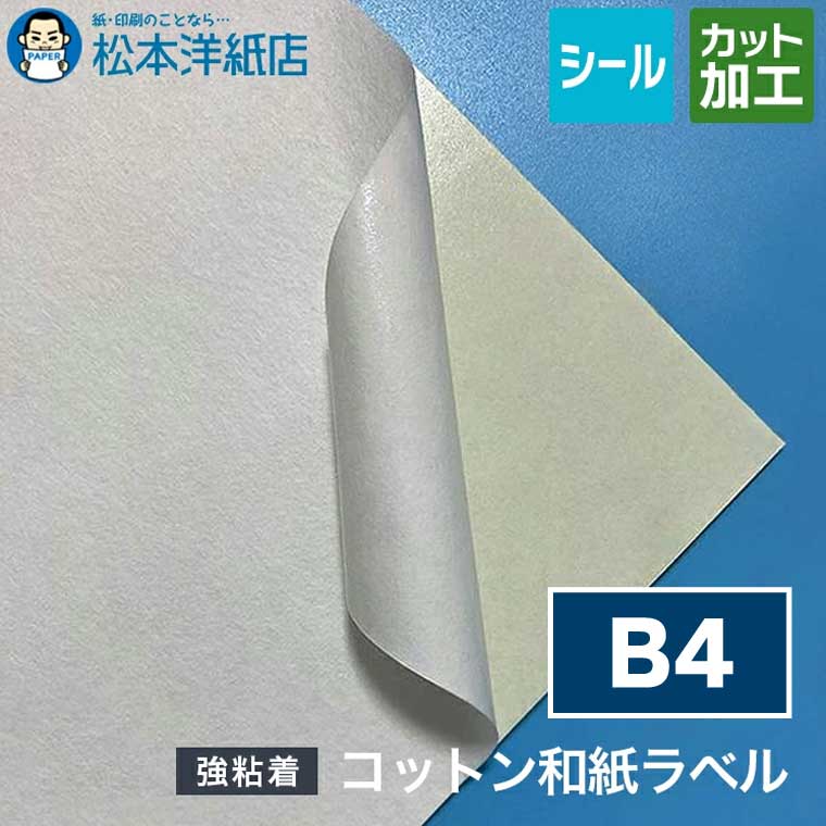 活動写真質問用紙の類概念と選び方。あなたの疑わしいことに答えます