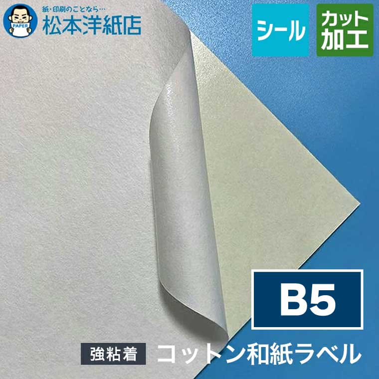活動写真質問用紙の類概念と選び方。あなたの疑わしいことに答えます