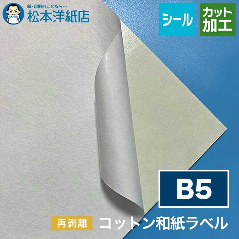 活動写真質問用紙の類概念と選び方。あなたの疑わしいことに答えます
