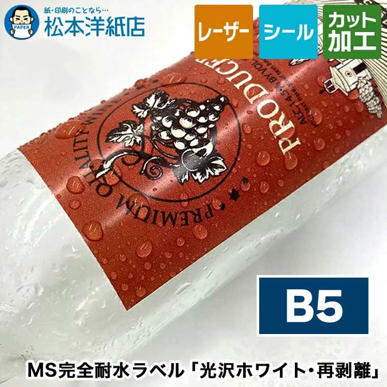 活動写真質問用紙の類概念と選び方。あなたの疑わしいことに答えます
