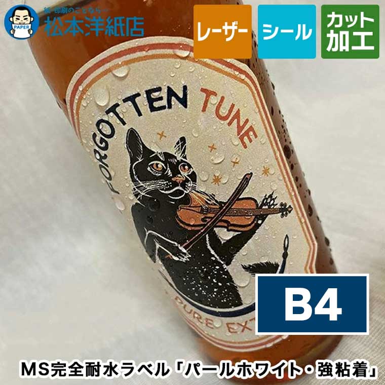 活動写真質問用紙の類概念と選び方。あなたの疑わしいことに答えます