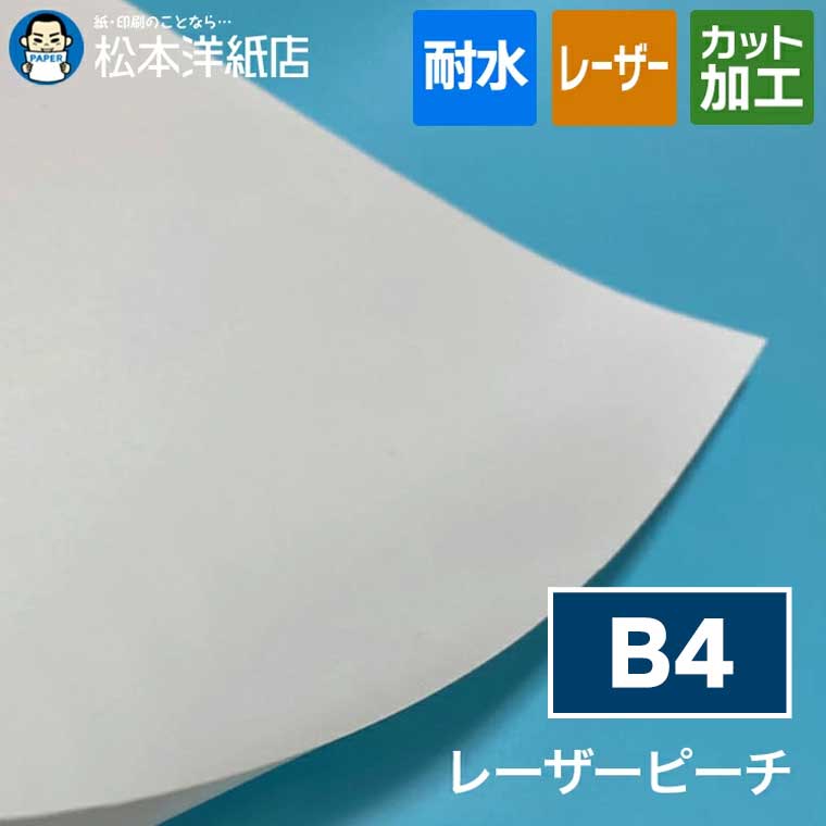 活動写真質問用紙の類概念と選び方。あなたの疑わしいことに答えます