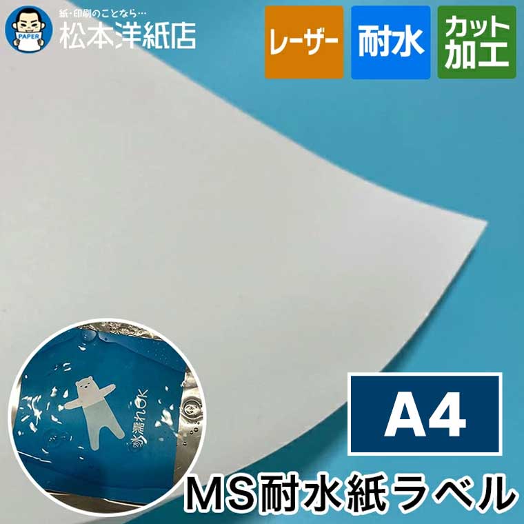 活動写真質問用紙の類概念と選び方。あなたの疑わしいことに答えます