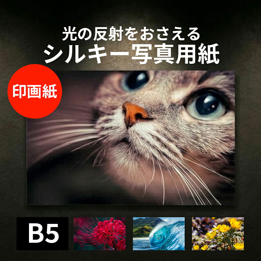 写真用紙 ＜ 絹目調 印画紙 ＞ B5 200枚 写真印刷 高品質｜松本洋紙店 印刷用紙とラベル専門