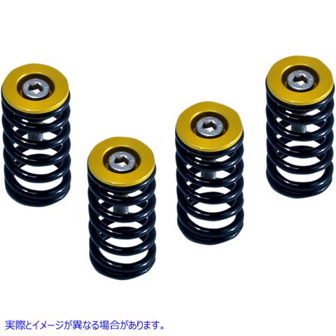 取寄せ クラッチスプリング（ゴールドドゥカティ付き） バーネット CLUTCH SPRG W/GOLD DUCATI 519-25-06090 DRAG 11311833｜ハーレーパーツデポ 8,749円