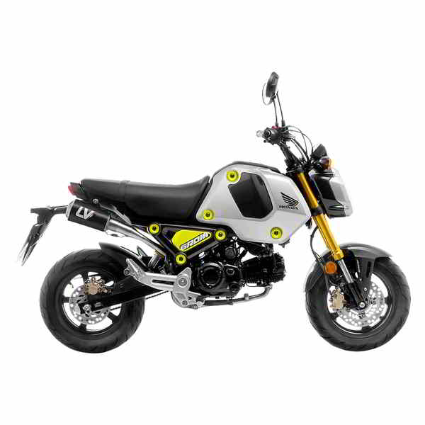 取寄せ LV-10 エキゾースト - カーボンファイバー レオビンチ LV-10 Exhaust - Carbon Fiber 15253CU DRAG 18103093