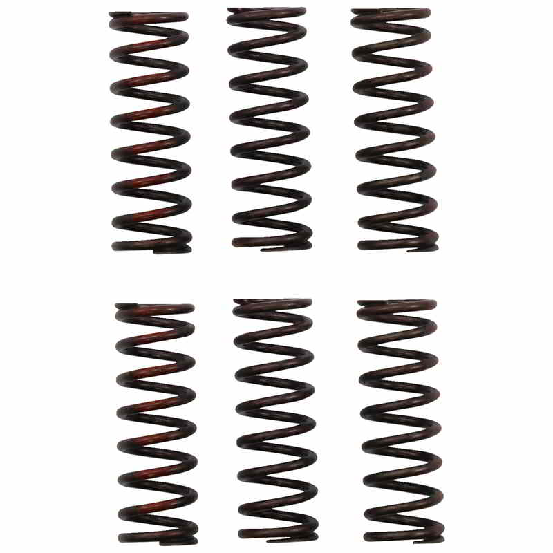 取寄せ クラッチスプリング プロサーキット Clutch Springs CSH21450-CS DRAG 11313719｜ハーレーパーツデポ 11,341円