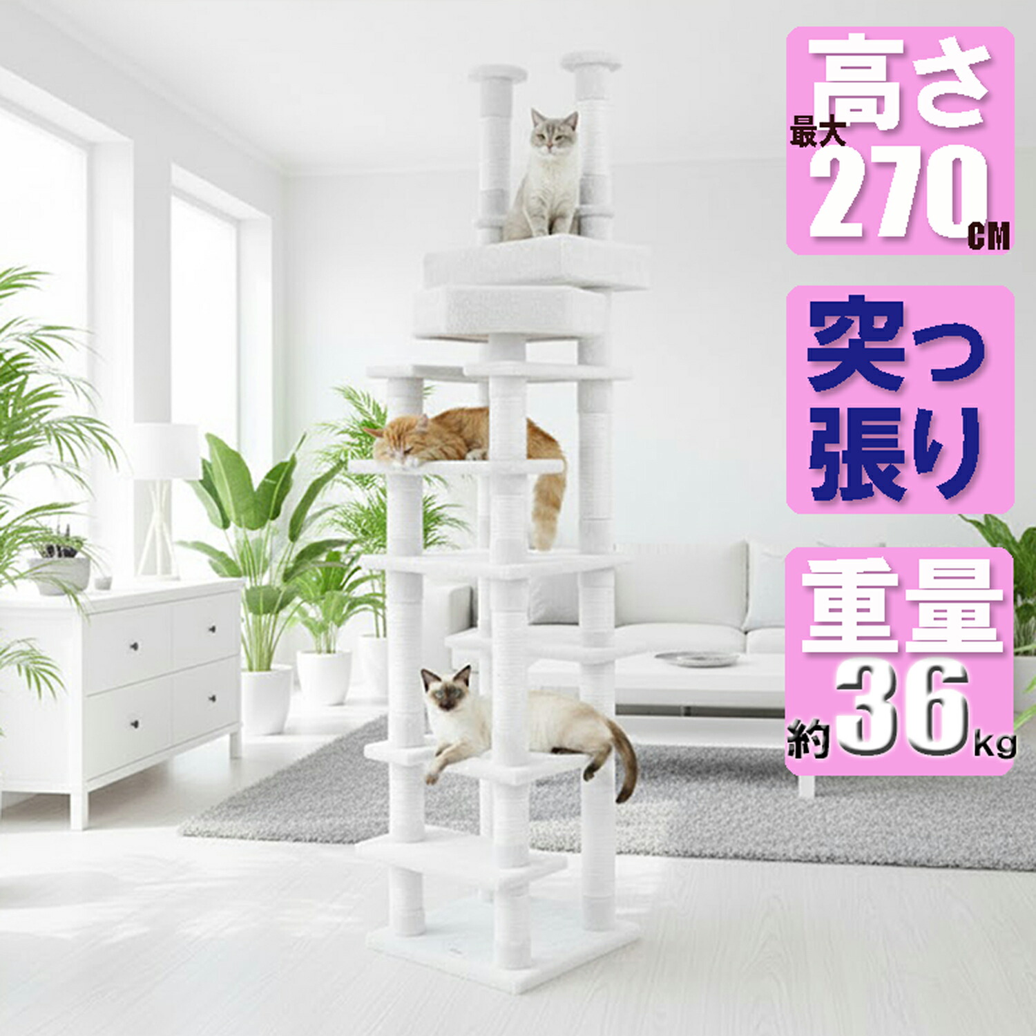 2920円引っ張ること 【突っ張り型で超兼ね合い】白いこと綿縄ひな形 キャットタワー 約36kg 御前上等MDF 大型猫相応う 多頭飼い 年がしら猫 低段差 省間隔文字 か細い 木製寝台2種 高さ231～270珊 CW-RT031 CATWINGS