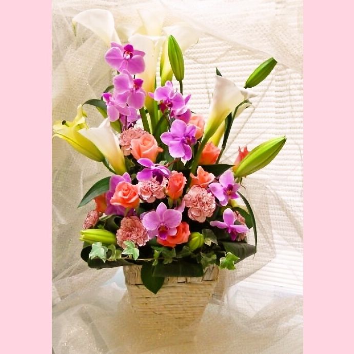 安いオンライン お祝いの花 誕生日の花にも カラーと胡蝶蘭ミディのアレンジ 送料無料 カラーと胡蝶蘭ミディのアレンジ お祝い 花 誕生日 花 開店祝花 Hls Du 楽ギフ メッセ入力 パストラルフラワー 法人特価 Carep Tn