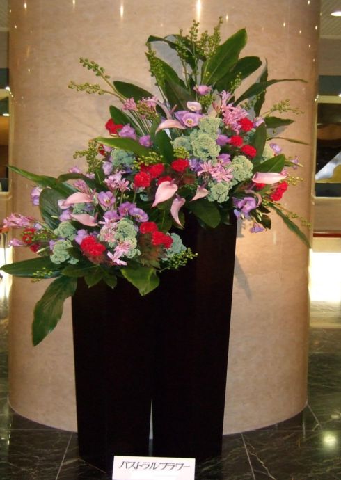 [開店祝賀会花][御祭り花]に[見せびらかす花]05P01Nov14【HLS_DU】【RCP】【楽ギフ_ミサインプット】