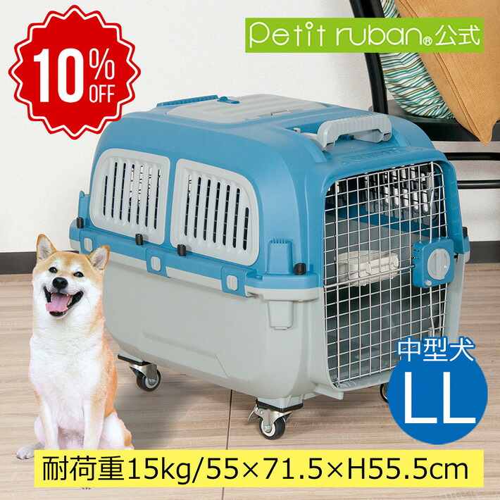 百貨店SALE特集ペイジ2026年6月