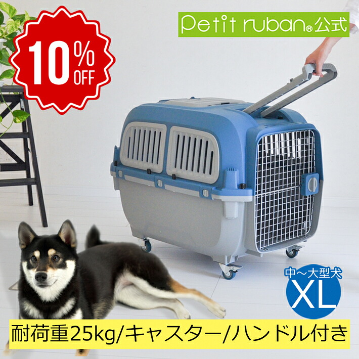 百貨店SALE特集ペイジ2026年6月