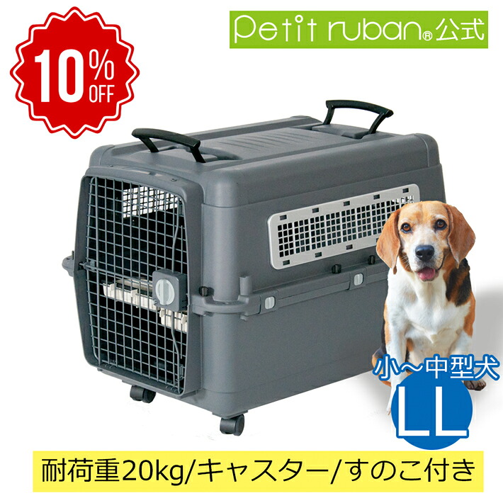 百貨店SALE特集ペイジ2026年6月