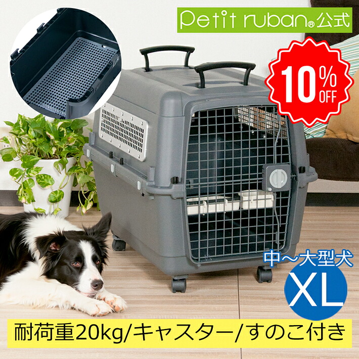 百貨店SALE特集ペイジ2026年6月